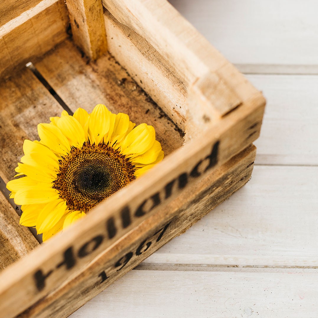 sunflower-wooden-box
